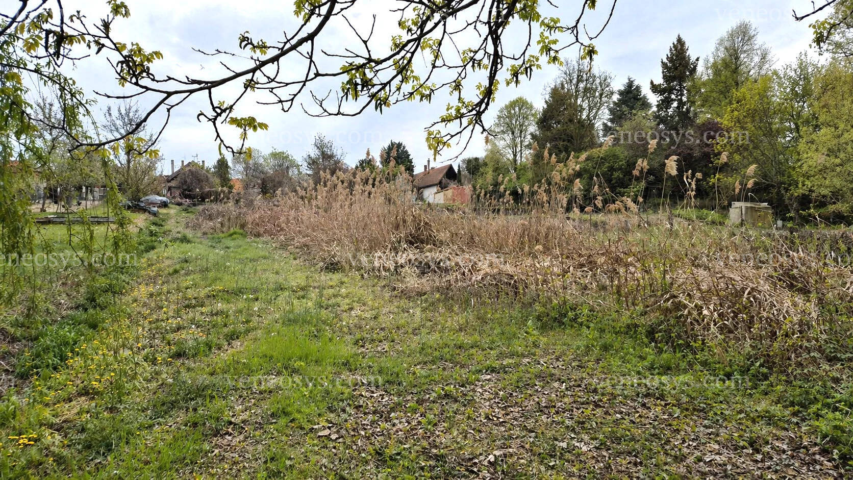 Kép 11