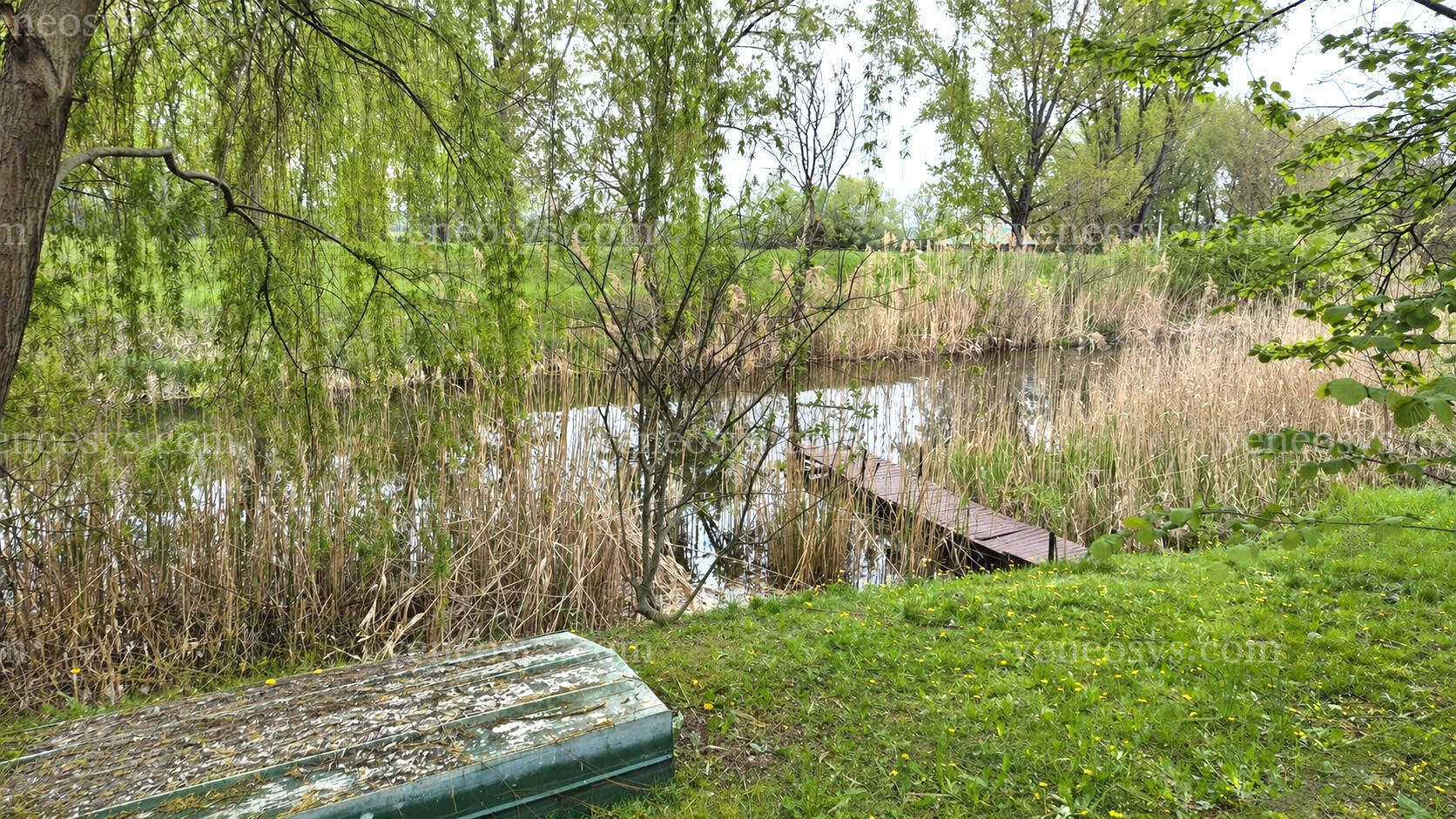Kép 9