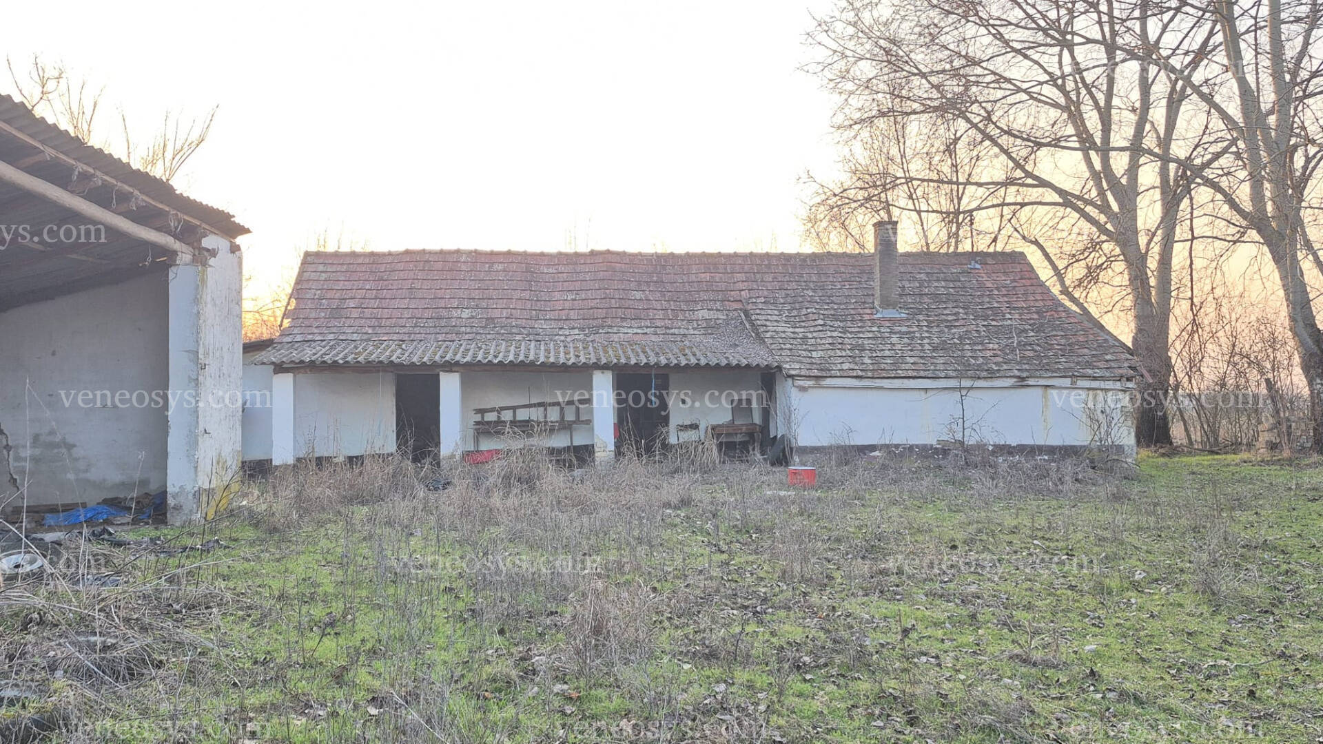 Kép 5