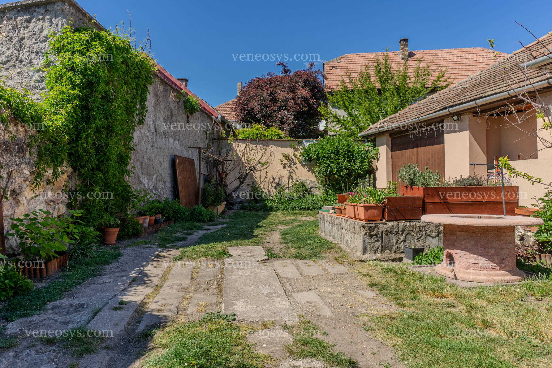 Kép 23