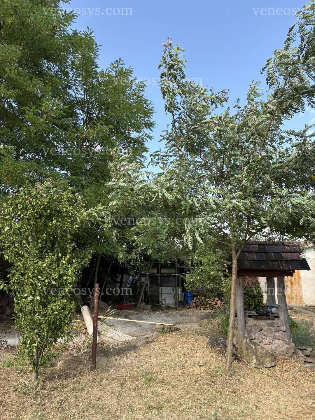 Kép 16