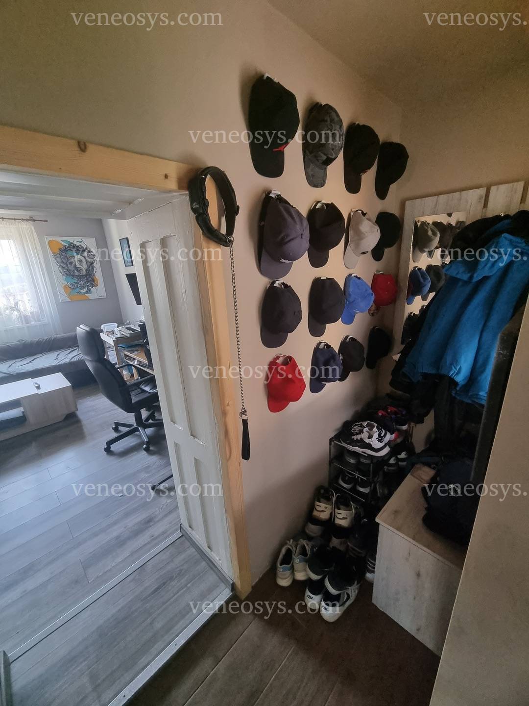 Kép 5