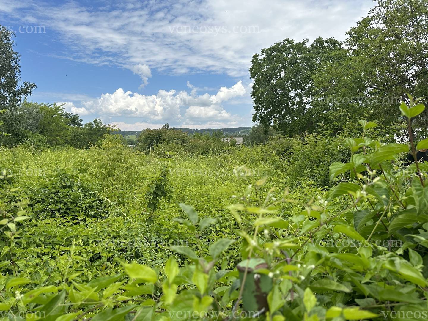 Kép 4
