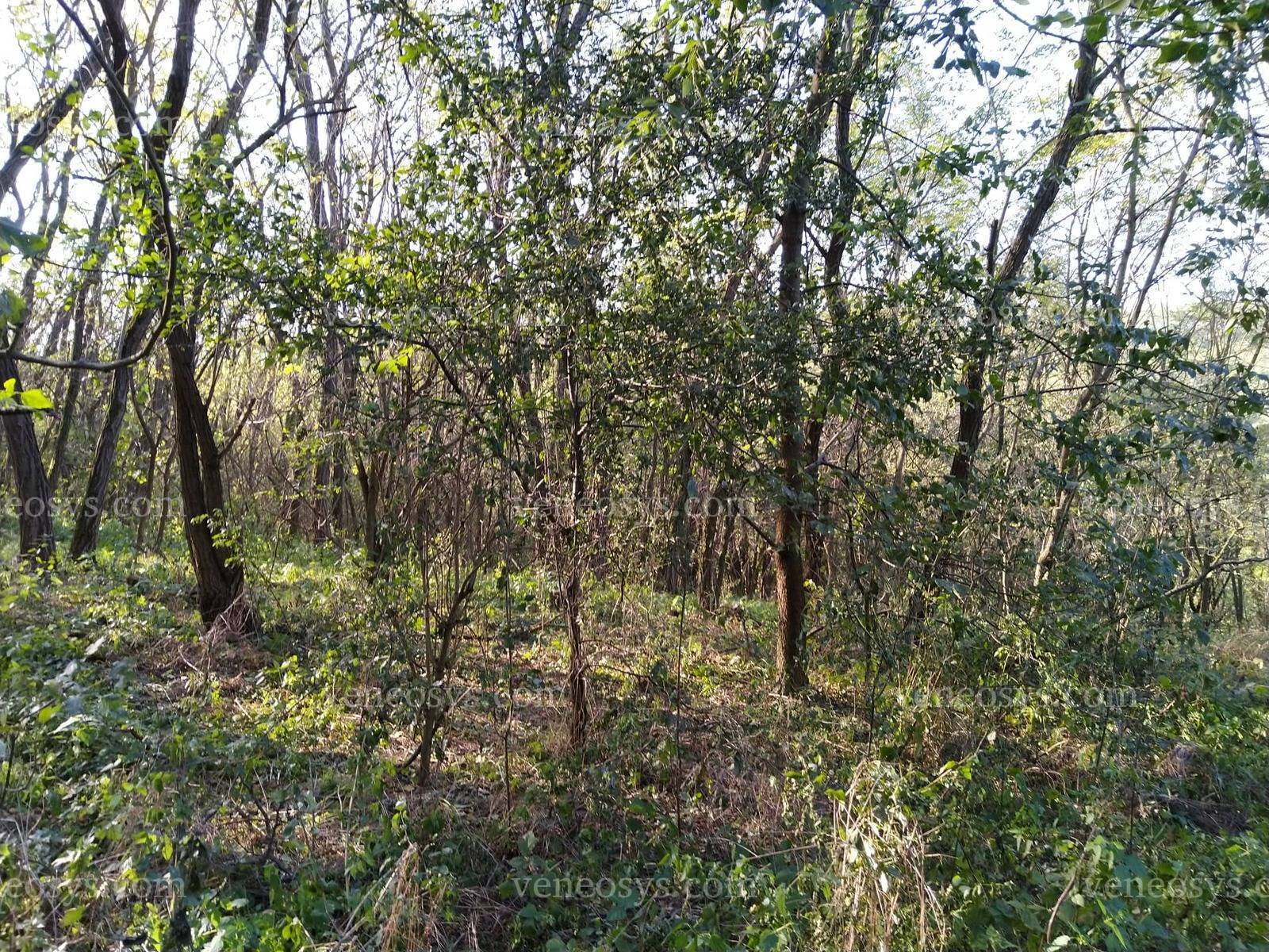 Kép 4