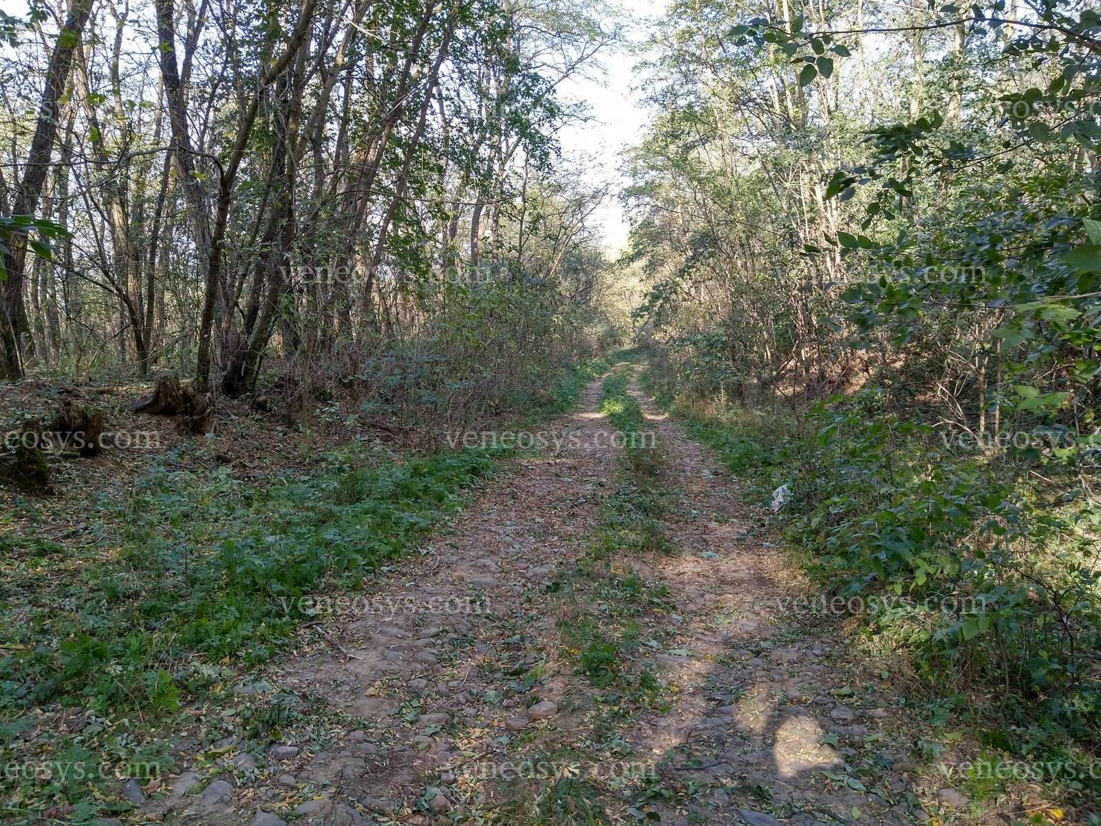 Kép 3