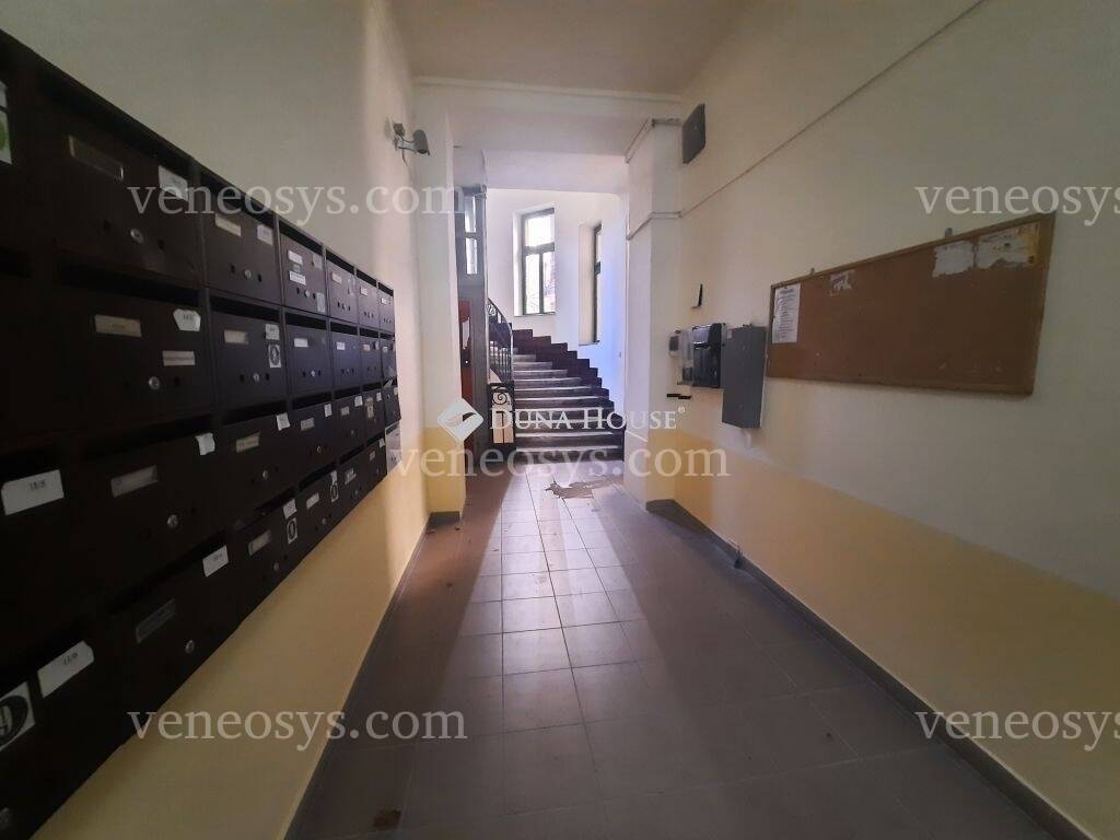 Kép 6