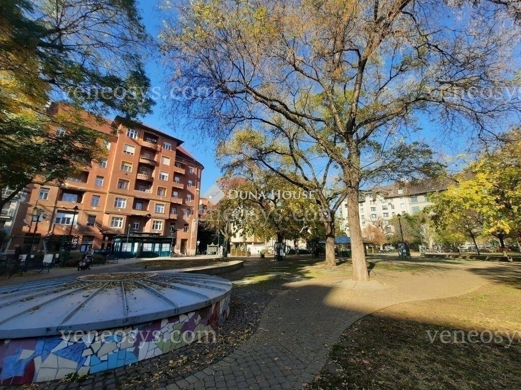 Kép 3
