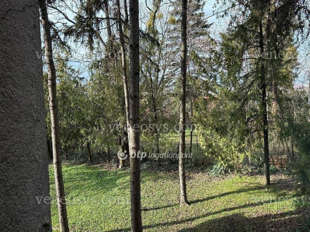 Kép 18