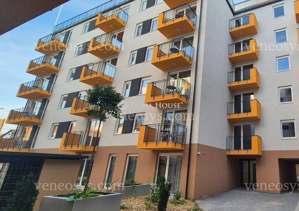 Kép 3