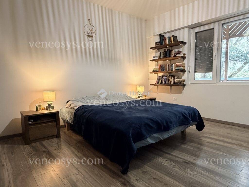 Kép 5