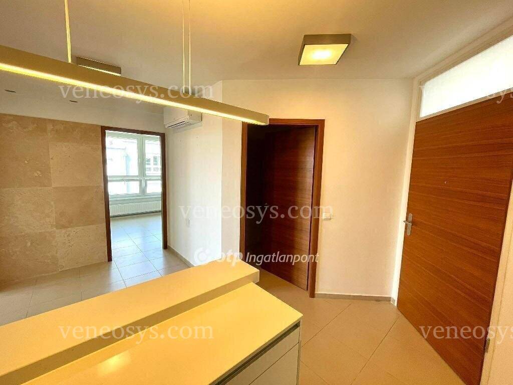 Kép 8