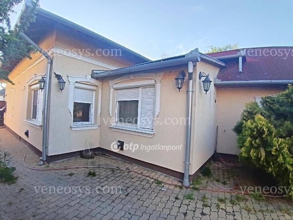 Kép 5
