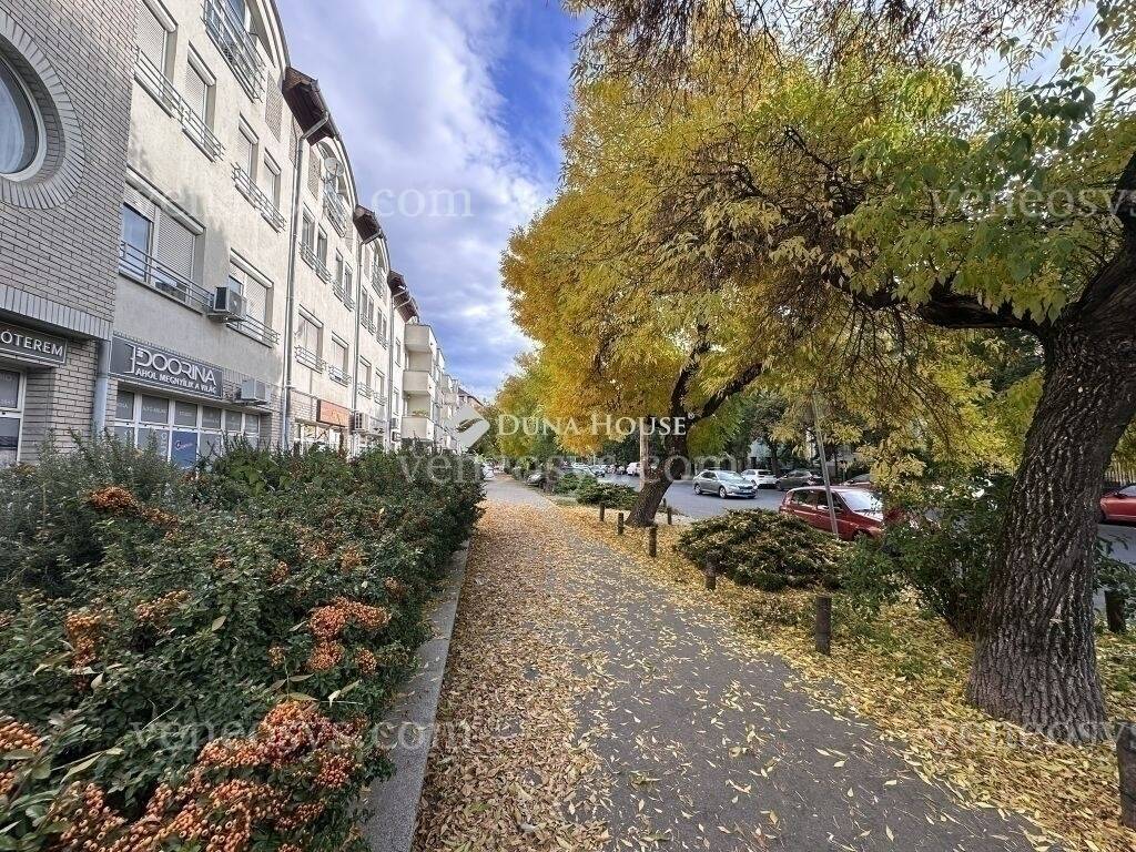 Kép 13