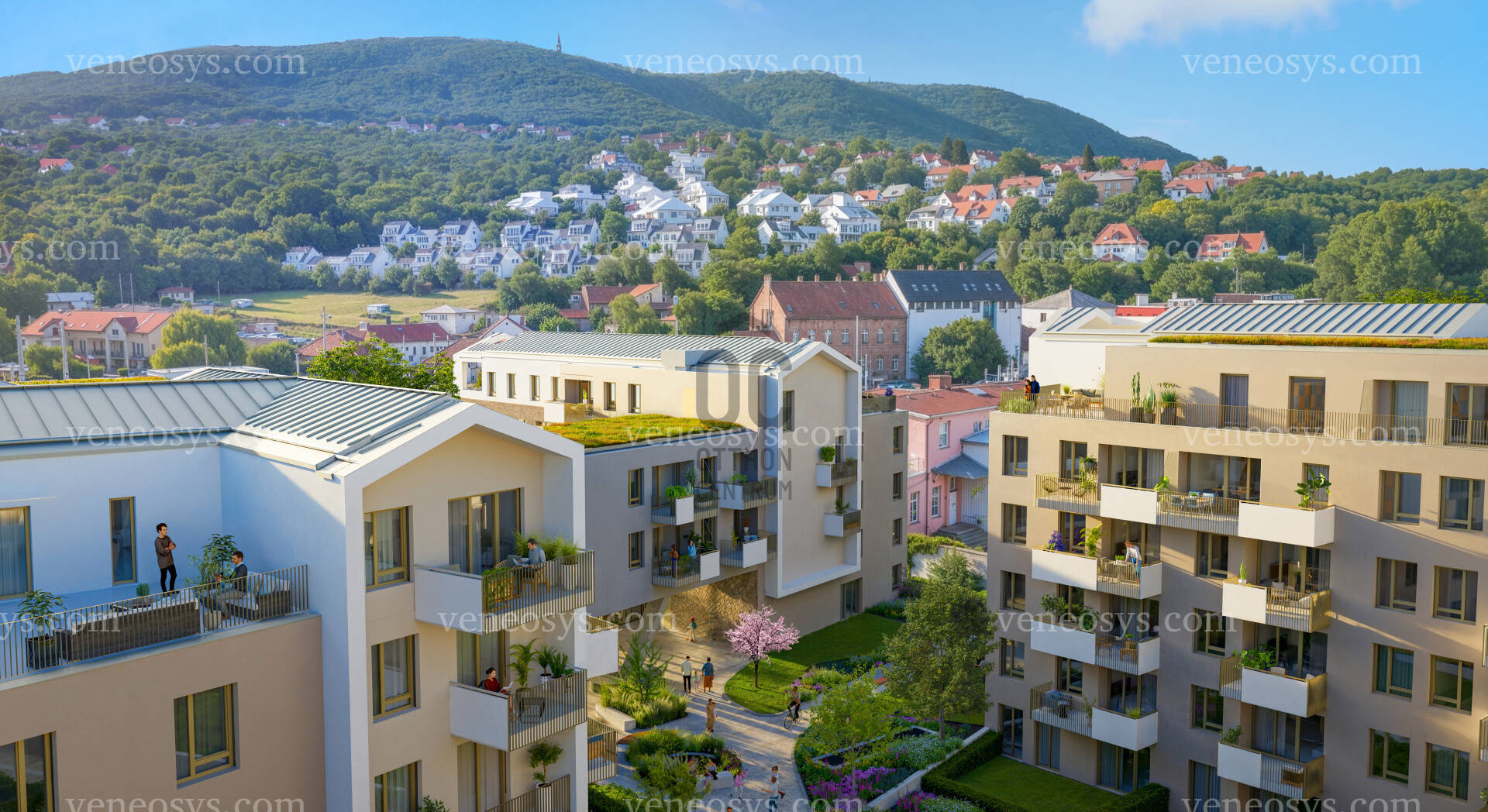 Kép 6