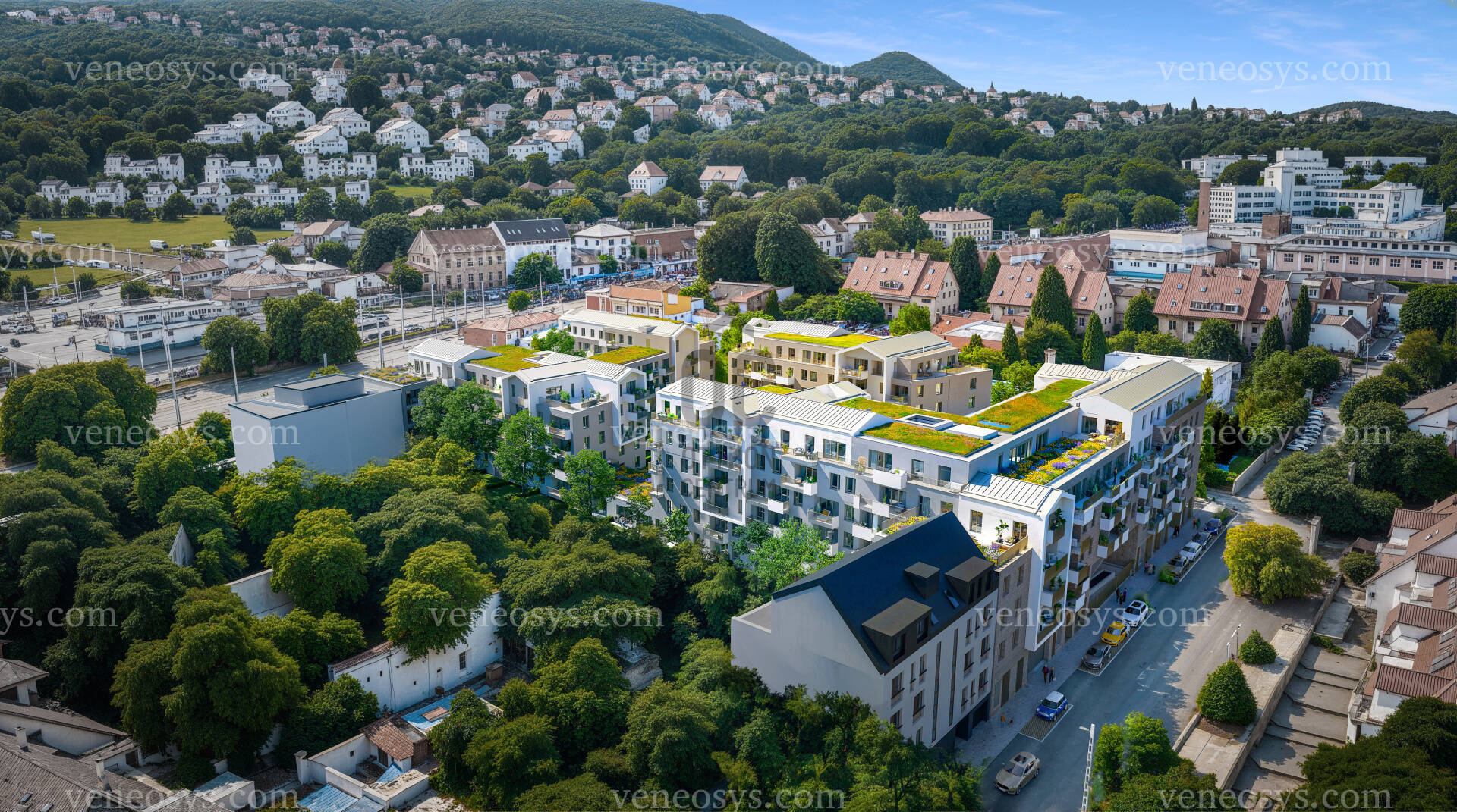 Kép 7