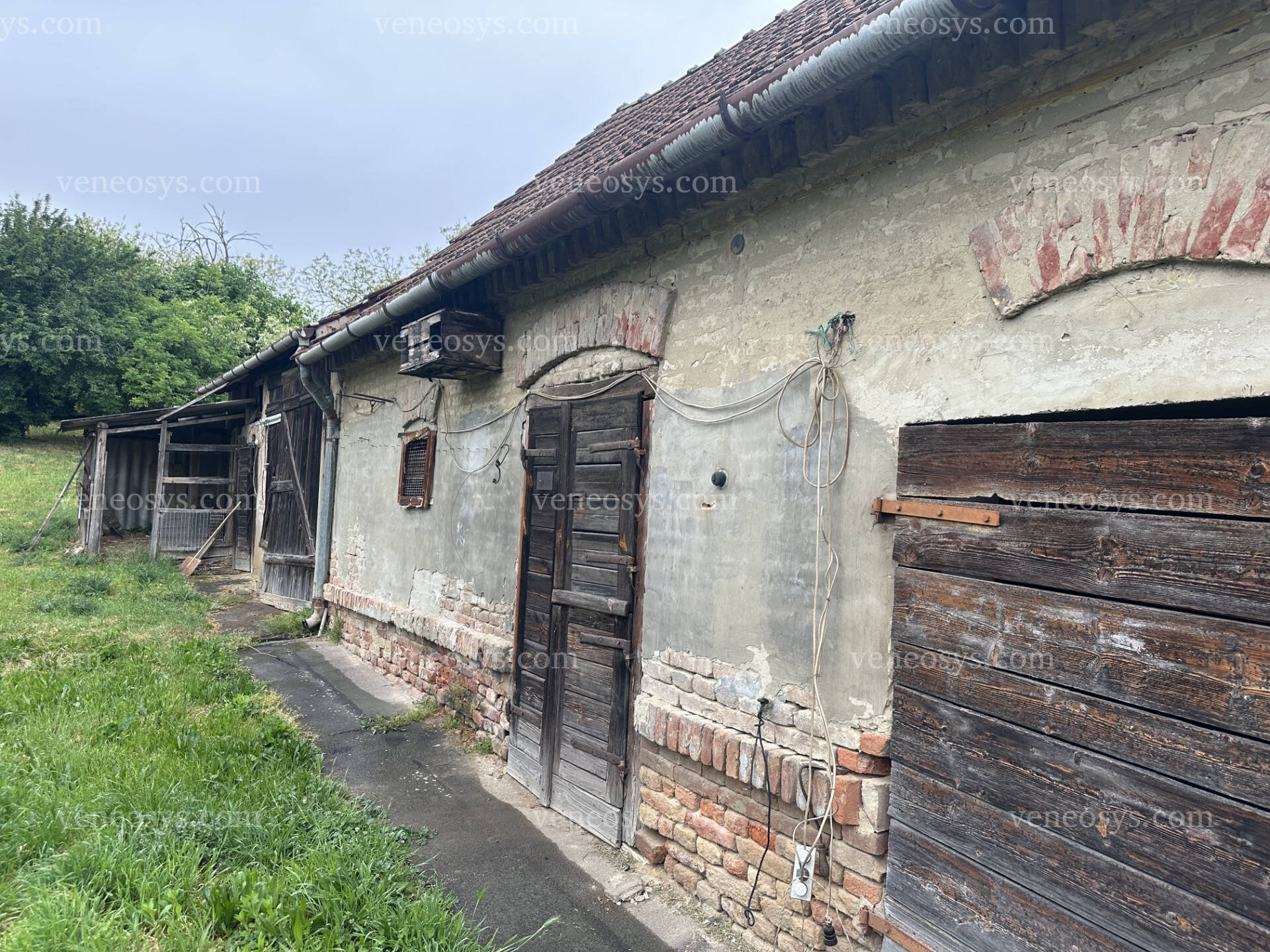 Kép 14