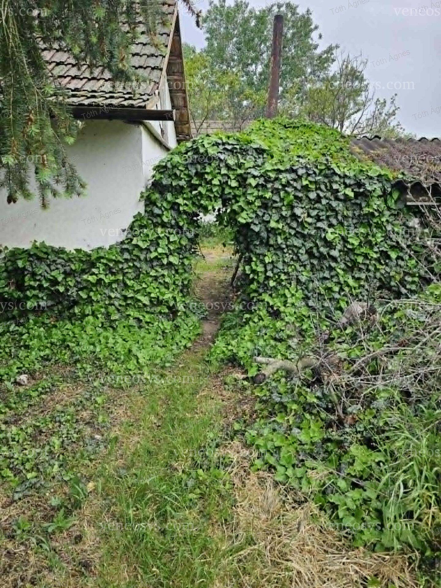 Kép 2