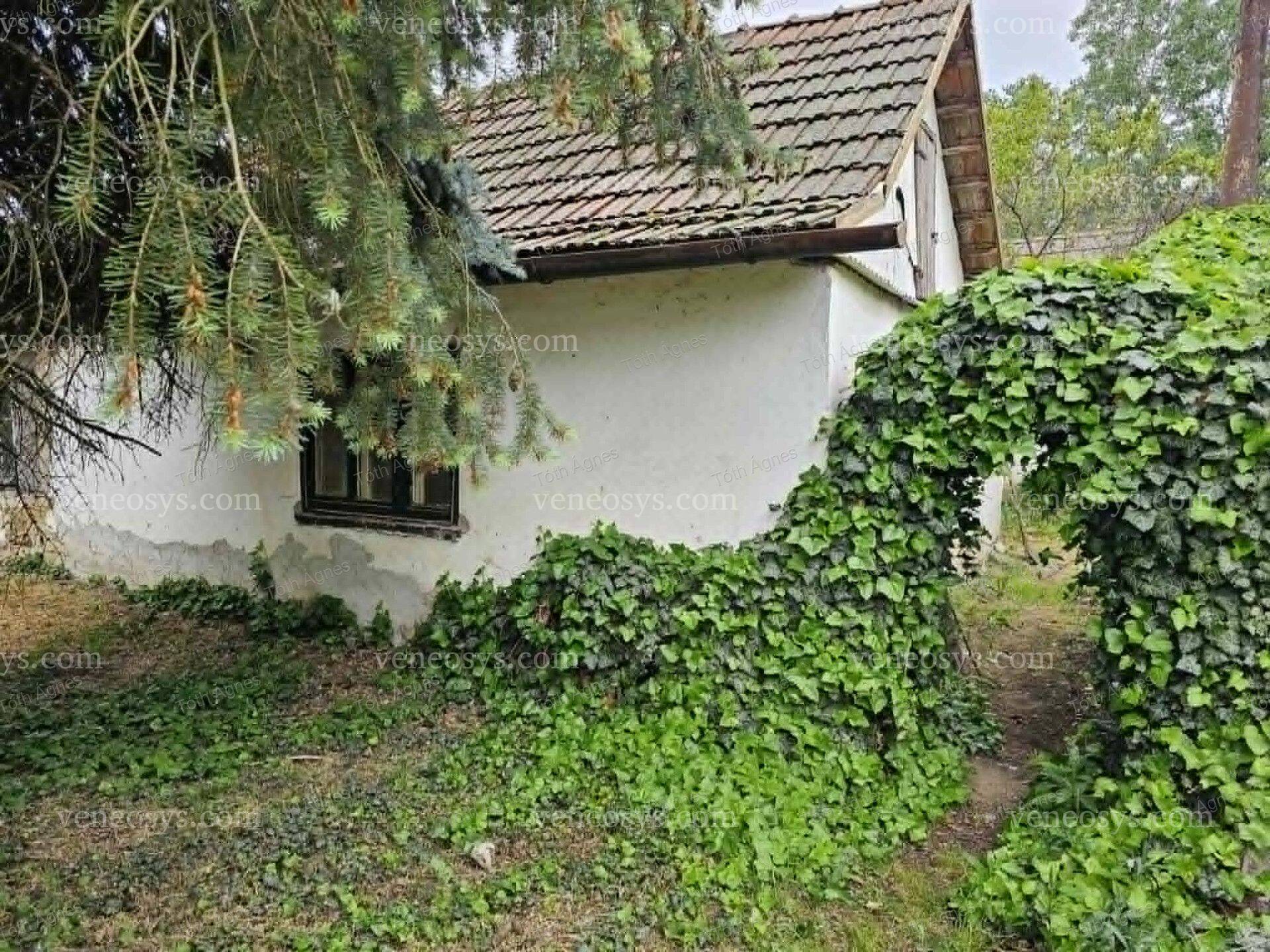 Kép 3