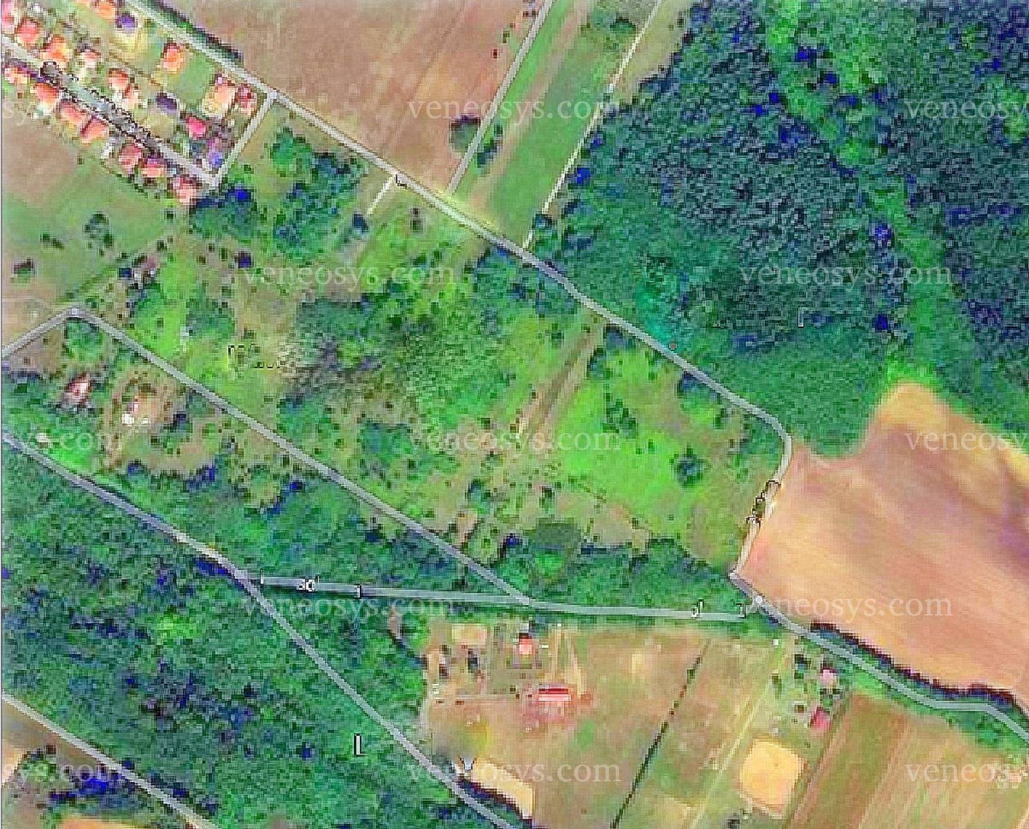 Kép 4