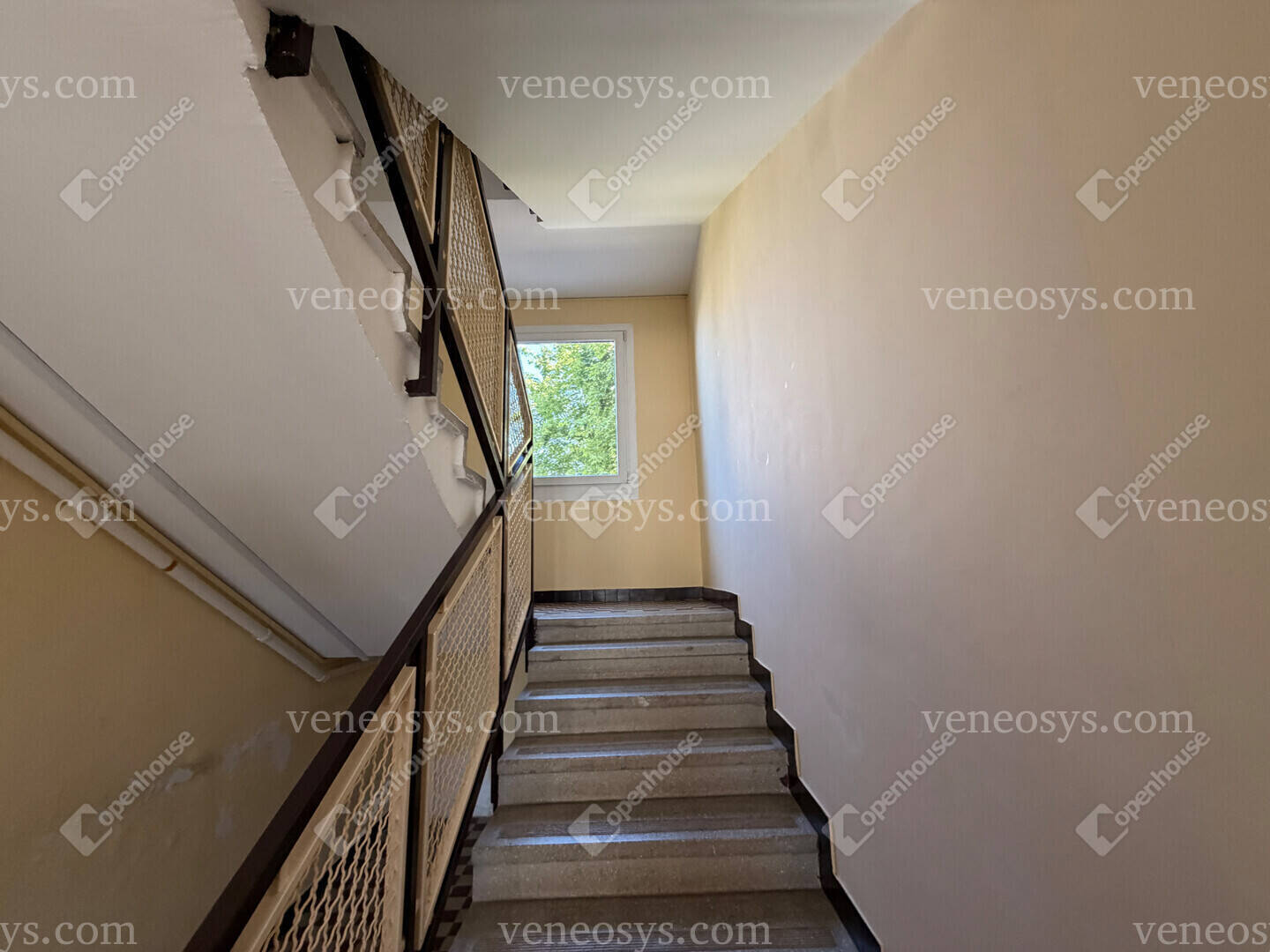 Kép 19