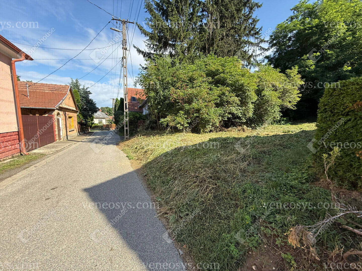 Kép 8