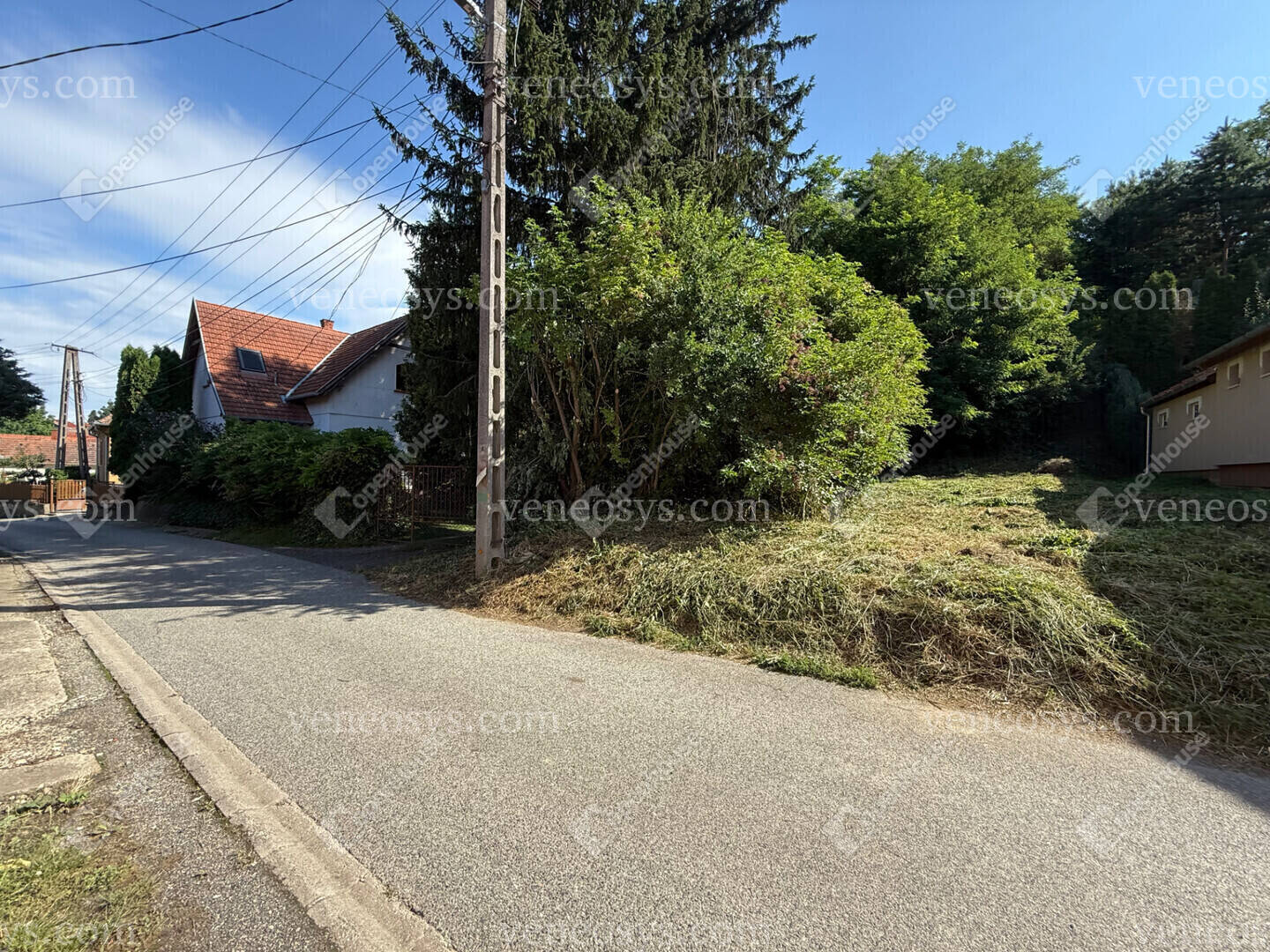 Kép 10
