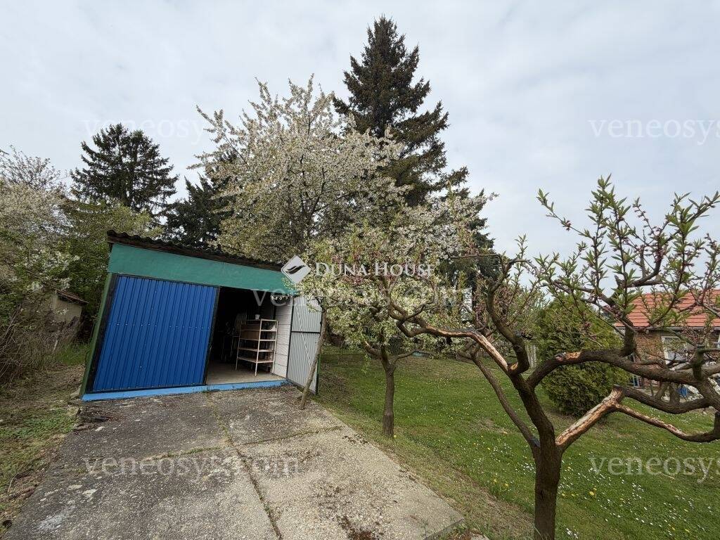 Kép 13