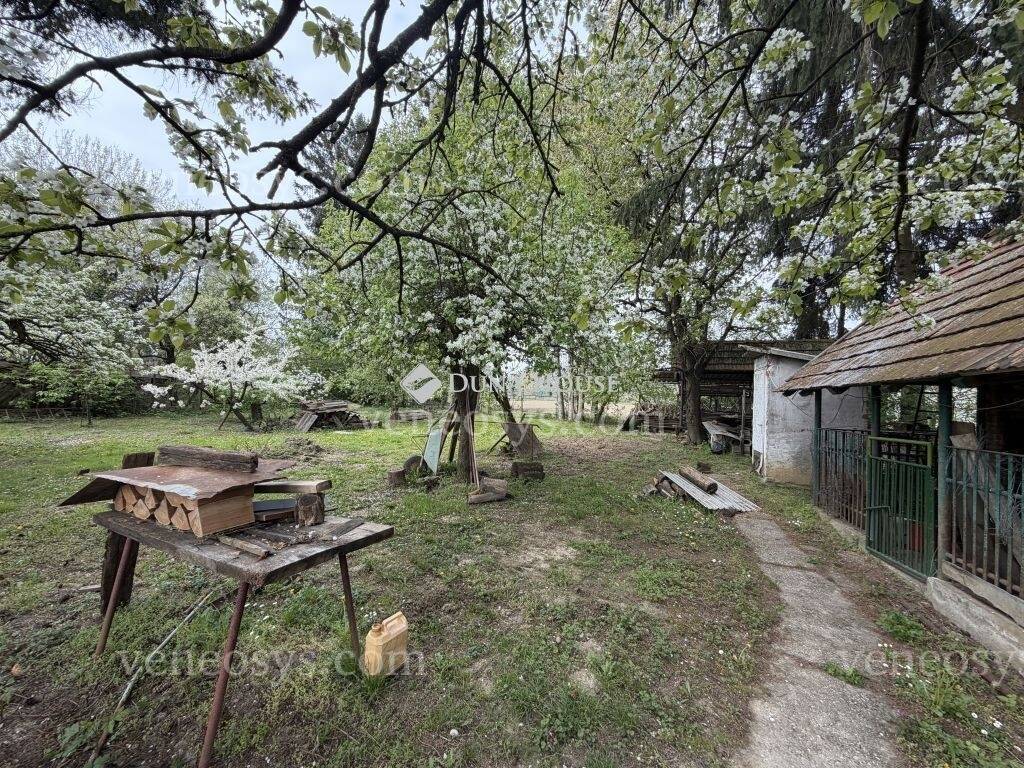 Kép 29