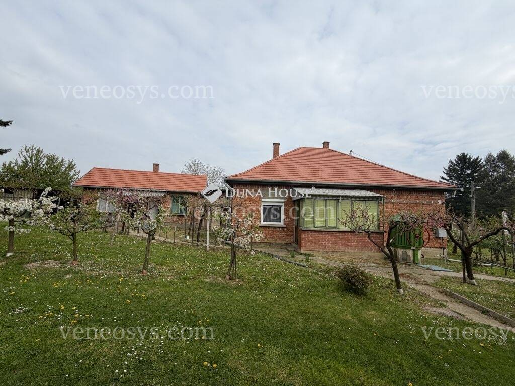 Kép 10