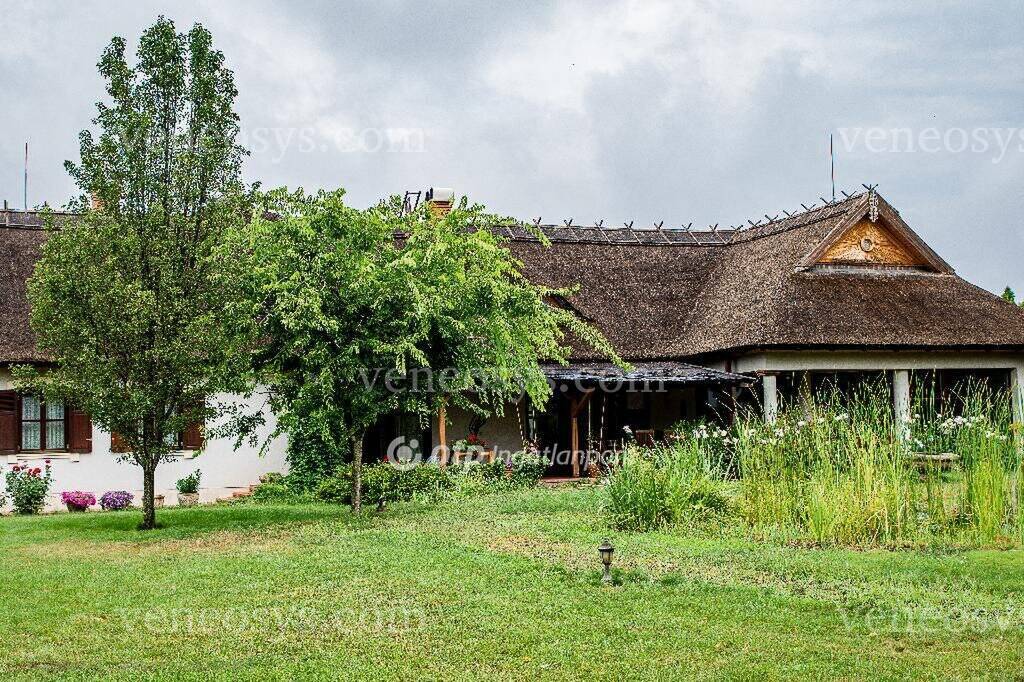 Kép 11
