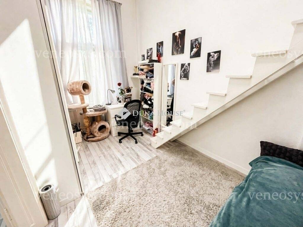 Kép 5