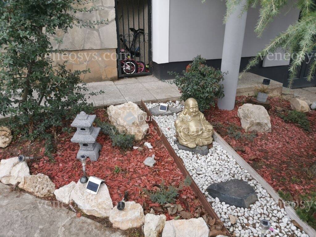 Kép 5