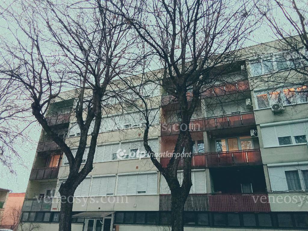 Ingatlan