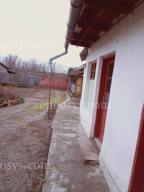 Kép 14