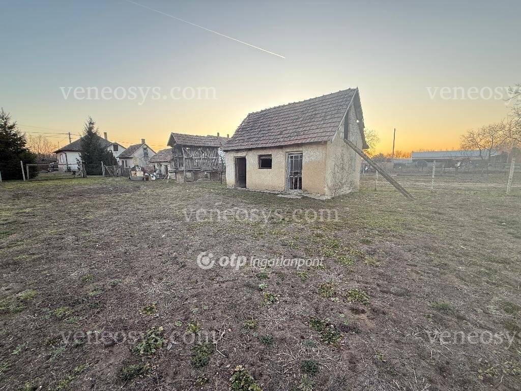 Kép 8