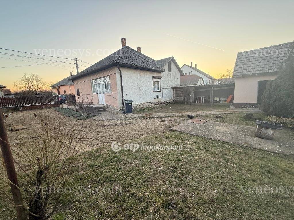 Kép 7