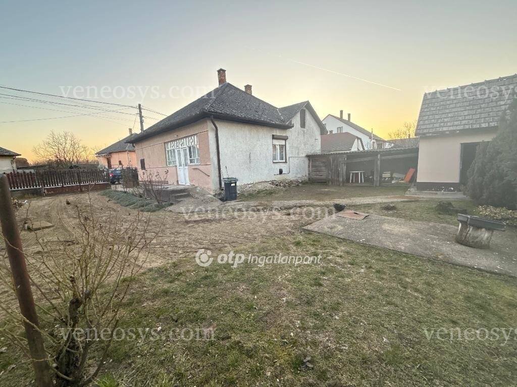 Kép 6