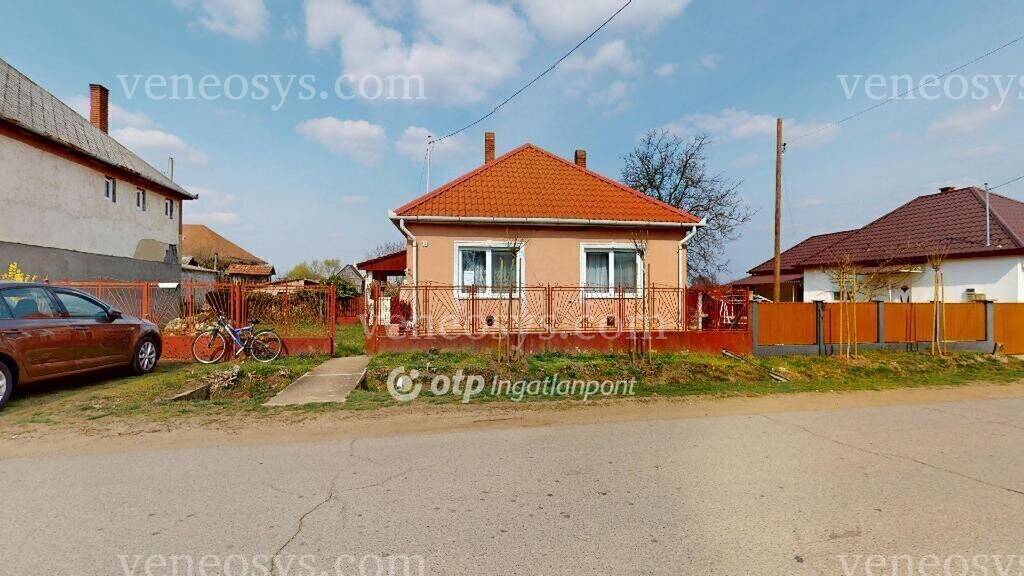 Kép 12