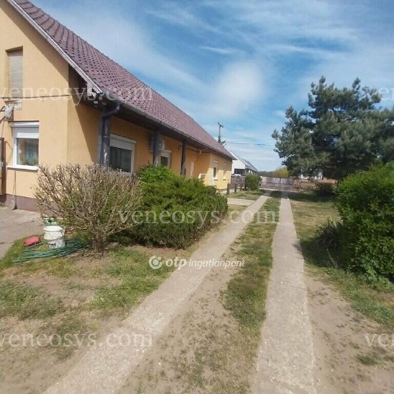Kép 16