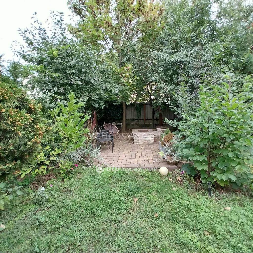 Kép 20