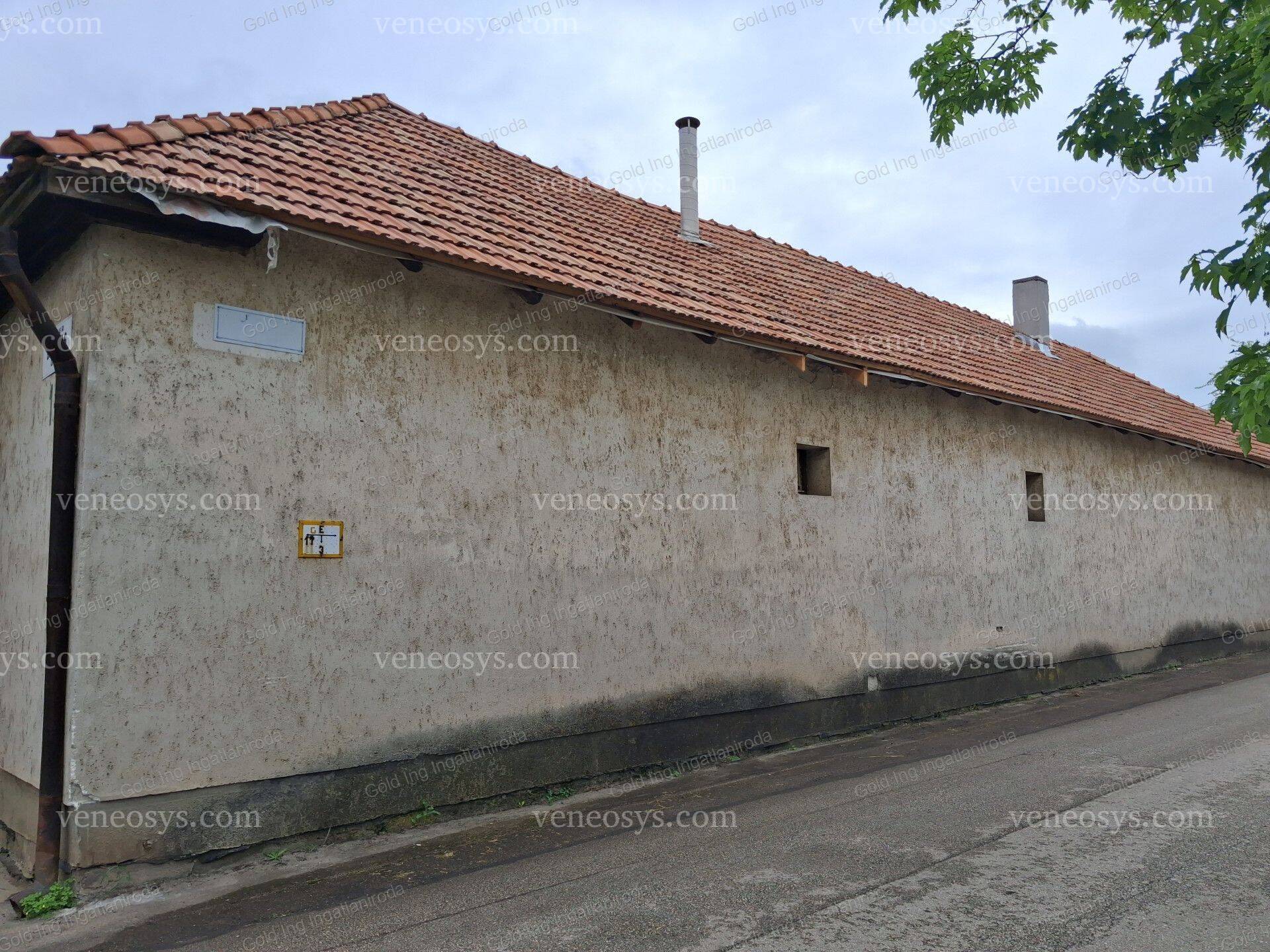 Kép 4