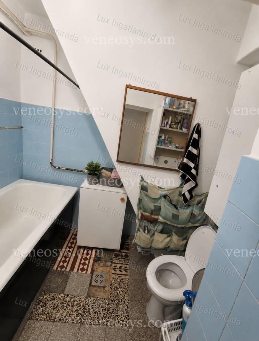 Kép 12