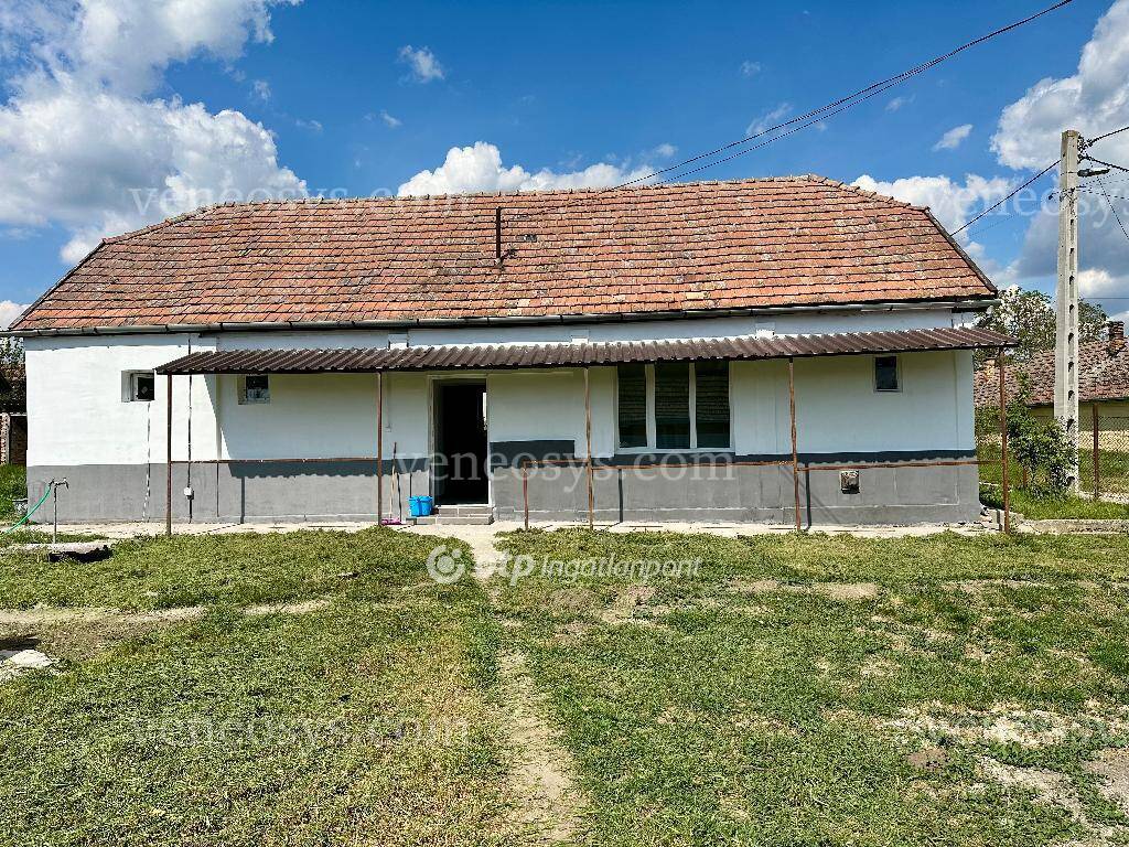 Kép 5