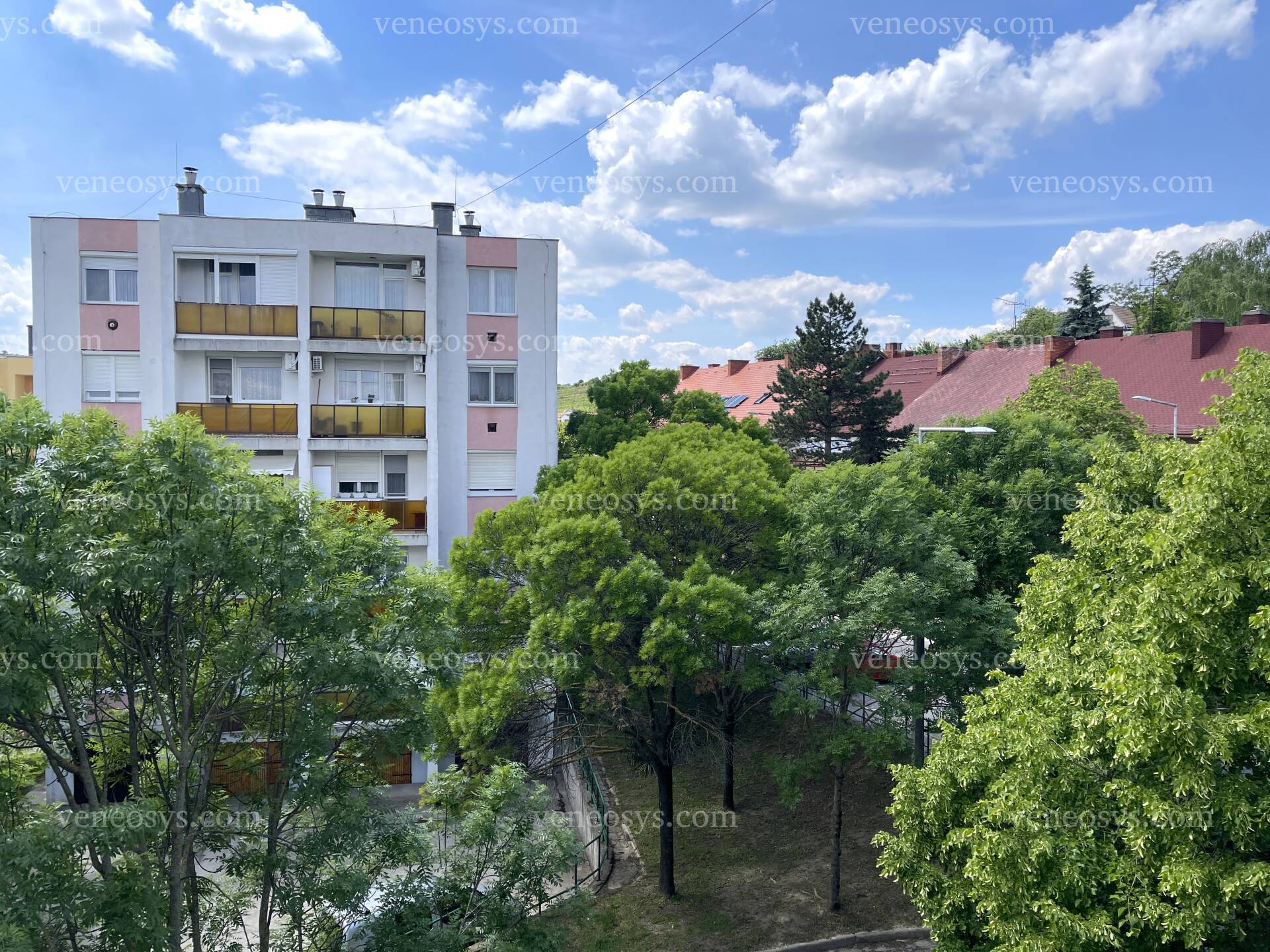 Kép 17