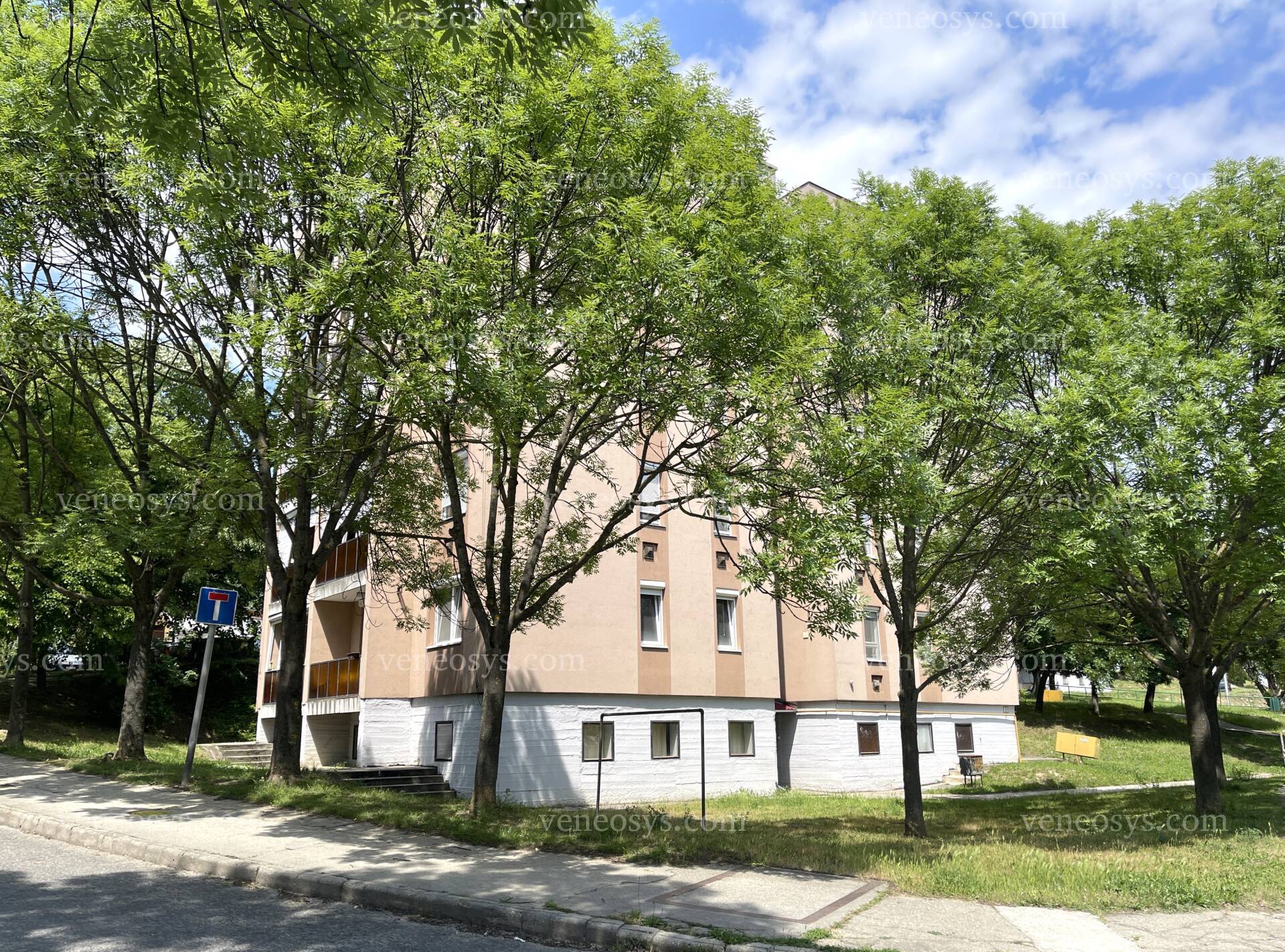 Kép 5