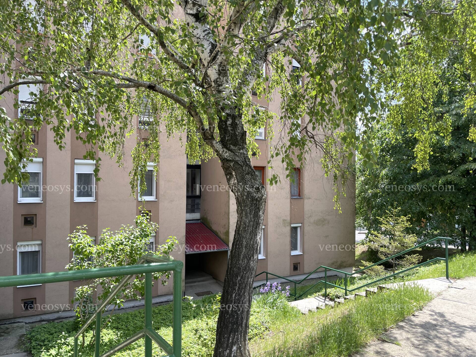 Kép 3