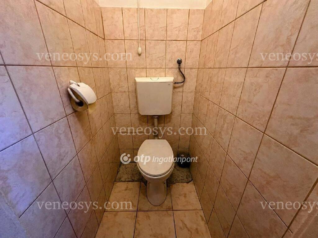 Kép 11