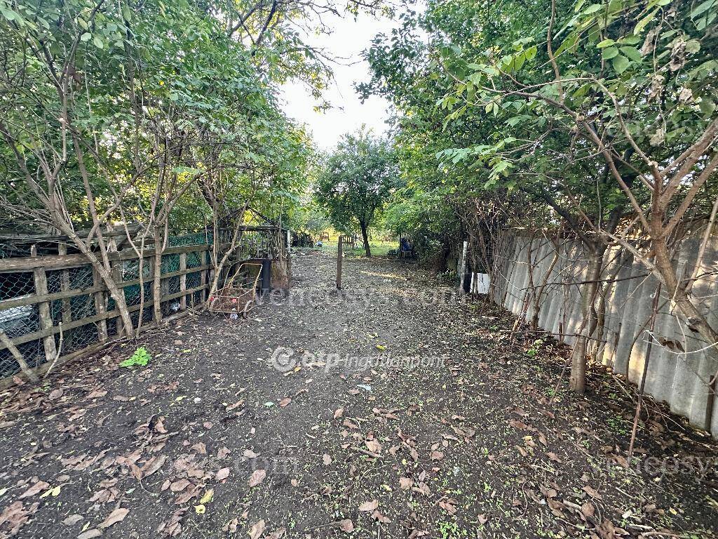 Kép 16