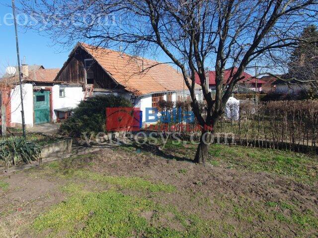 Kép 5