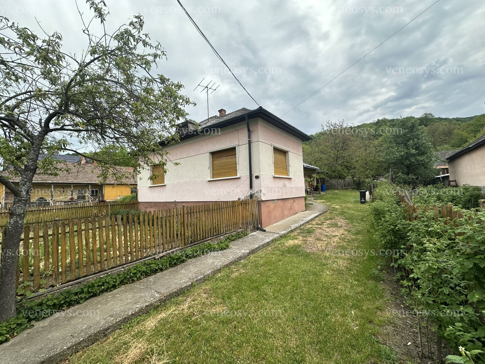Kép 2